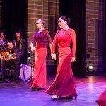 Love Flamenco